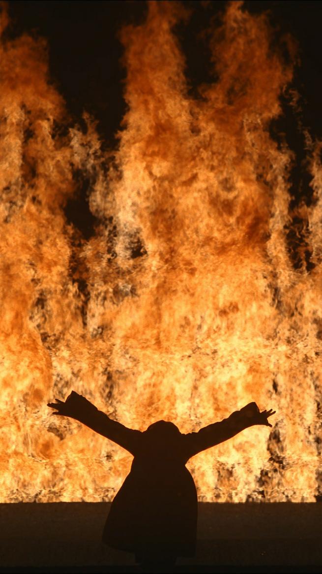 Bill Viola, Fire Woman 2005