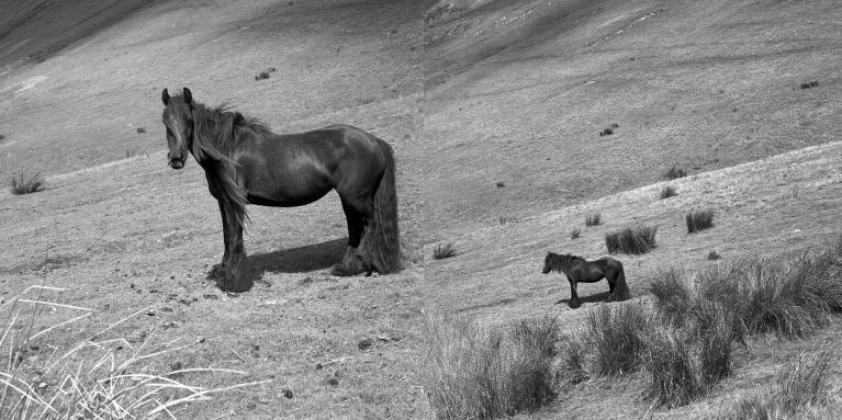 John Hiliard,Ranging near and far, 2013, courtesy of the artist and Galleria Massimo Minini.
