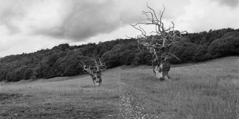 John Hiliard, Twice, 2013, courtesy of the artist and Galleria Massimo Minini.