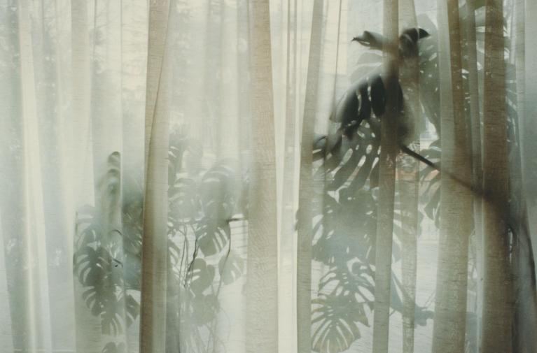 Giovanni Chiaramonte, S.t., da “Finestre”, 1978, C Print, 240x305 mm.