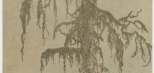 Hercules Segers, L’albero muschioso, dettaglio, ca. 1615-1630, Amsterdam, Rijksmuseum.