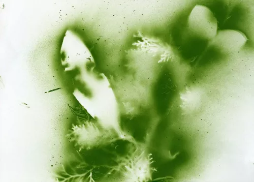 Giovanni Ferrario - Senza titolo, Dalla serie Soffi, Stampa su carta cotone da scansione a contatto, dimensioni variabili, 2019, courtesy dell'artista Giovanni Ferrario.