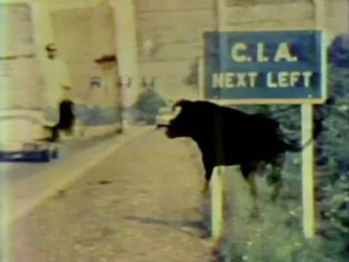 4. William E. Jones, Psychic Driving (still frame). Courtesy the artist, Galleria Raffaella Cortese