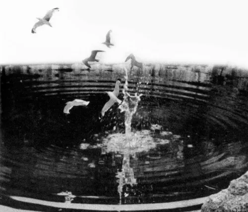Gino De Dominicis, Improvvisa uscita di uccelli dall’acqua, 1970