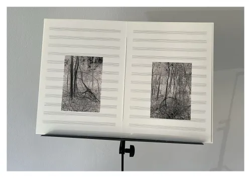 Adriana Beretta, Il mondo che non vedo, 2014