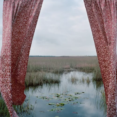 Ph Rebecca Reeve.