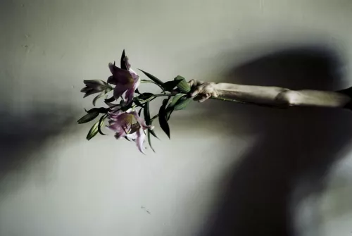 Simona Ghizzoni, Simona’s arm with flowers, 2007.