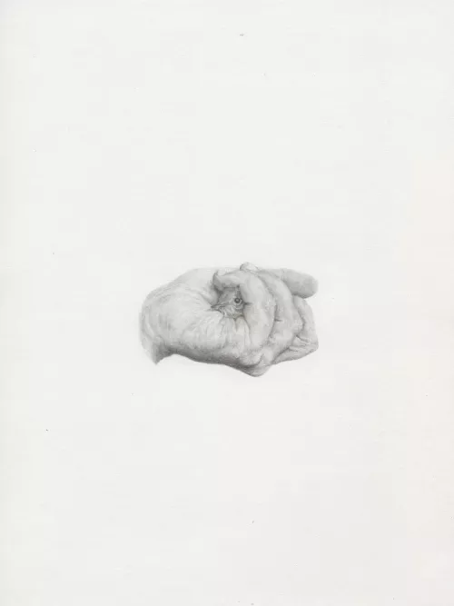 Giovanni De Lazzari, Senza titolo (2013), Pencil on paper, courtesy Laveronica arte contemporanea.