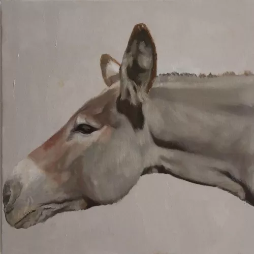 Marco Bettio, Una pressione eccessiva ti rende nervoso, 2018, Olio su lino, cm 50x50, Collezione privata Biella.