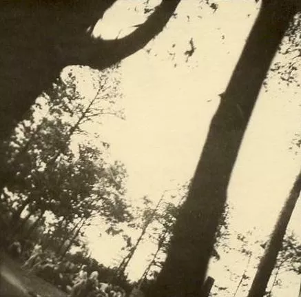 Negativo 282, Donne spinte verso la camera a gas del crematorio V di Auschwitz.