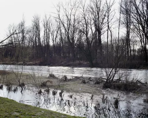 ©Gianfranco Gallucci, Soła river, Oświęcim (2017).