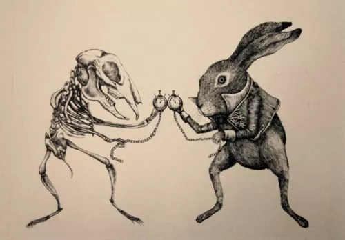 Ericailcane, White Rabbit